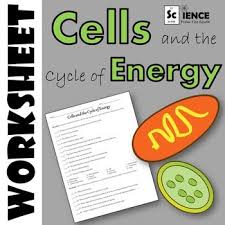 Use This Worksheet Over Cells And The Cycle Of Energy Through Photosynthesis And Cellula Photosynthesis And Cellular Respiration Biology Lessons Photosynthesis