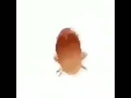 Dancing Cockroach Meme Sound Clip Peal Create Your Own Soundboards
