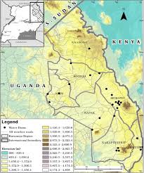 Image result for Otiophora pauciflora