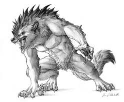 Sketch Werewolf Animali Lupi Mannari Lupo