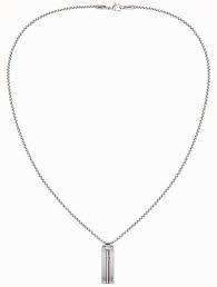 Tommy Hilfiger Stainless Steel Skinny Dog Tag Necklace 2790169 First Class Watches Tommy Hilfiger Dog Tag Necklace Free Bracelet