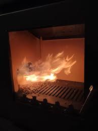 Check spelling or type a new query. Cuisiniere Mixte Bois Pellet Avec Four De Cuisson 12 Kw Fourneau A Bois Et Granules Poele A Bois Et Granule Pour La Cuisine Buche Jusqu A 40 Cm Porte Frontale Vitree Anthracite Garantie