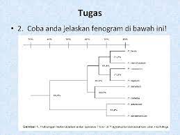 Contoh grafik lengkap dengan pengertian, tujuan serta fungsinya. Deskripsi Kunci Identifikasi Dan Dendogram By Mugi Mumpuni