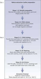 Flow Diagram For Dna Extraction From Ancient Bones And Teeth