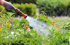Auf Den Verbrauch Kommt Es An Wann Sich Ein Gartenwasserzahler Wirklich Lohnt Munster Westfalische Nachrichten