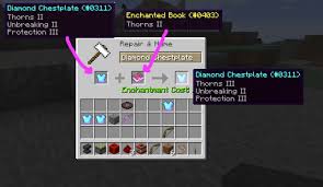 Why You Shouldn'T Get Thorns In Minecraft - Youtube