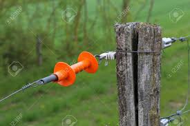 A gateway in an electric fence system is a space in the fence which provides a safe break in the electric fence to allow access into and out of your fenced field. Electric Fence Gate Protects A Green Grass Pasture Stock Photo Picture And Royalty Free Image Image 123015944
