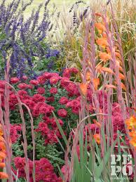 Australian Country Cottage Garden With Water Wise Planting Orange Central West New South Country Cottage Garden Country Garden Design Drought Tolerant Garden