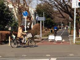 多摩湖自転車道 日本にもいいとこたくさんあります
