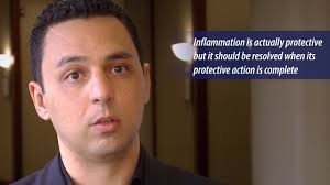 Schneider Shorts 17.11.2023