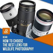 How To Choose The Best Lens For Wildlife Photography Wildlife Photography Photography Lenses Digital Photography School