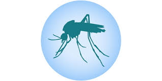 See full list on abchomeandcommercial.com What Is A Mosquito Mosquitoes Cdc