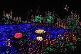 Images Of Winter Light Show In Japan Seattle Japanese Garden Community Blog Other Gardens Bellev Botanical Gardens Seattle Japanese Garden Japanese Garden