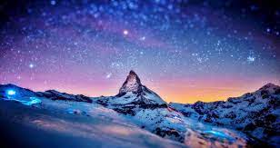 Selain tampilannya, bunga matahari juga dapat tumbuh dengan mudah dan cepat. Bunga Bunga Matahari Anggun Mekar Di Taman Hati Site Title