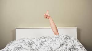 In unserem sortiment finden sie diverse oberbetten, die jeglichen bedürfnissen entsprechen. Objektophilie Britin Setzt Hochzeit Mit Ihrer Bettdecke An Stern De