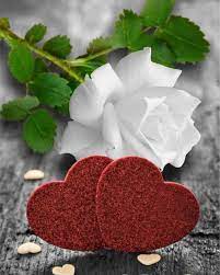 Maybe you would like to learn more about one of these? Sergio Alonso Sergioa60798547 Twitter Art Nouveau Flowers Beautiful Rose Flowers Good Morning Love Messages