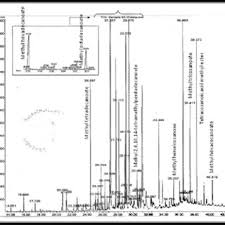 Image result for Anisotes