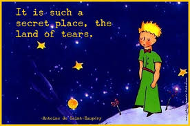 It Is Such A Secret Place The Land Of Tears Antoine De Saint Exupery Born 29 June 1900 Died 31 July 1944 Quote Posters Literary Quotes Tears In Heaven