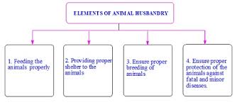 Cbse Ncert Notes Class 9 Biology Improvement Food Resources