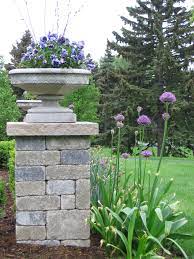 Spring Time Container Planting In Bloom With The Allium Bulbs Allium Attracts Cabbage White Butterflies Plant Car Backyard Planters Plants Container Plants
