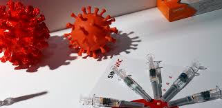 Sinovac ceo says reports of vaccine's 50% efficacy are misleading. Indonesia Receives First Covid 19 Vaccine From China S Sinovac Deccan Herald