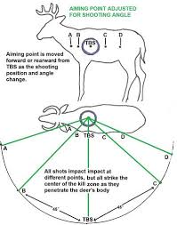 Aiming Point Adjusted For Shooting Angle Deer Hunting