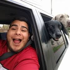 OK whatafans, what's your take