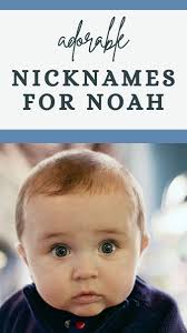 noah