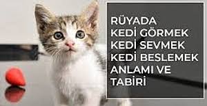 Ruyada Kedi Gormek