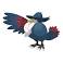 Image of Does Murkrow evolve?