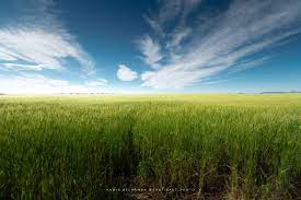 I Took A Picture Of A Landscape That Looks Like The Famous Windows Xp Wallpaper Landscape Pictures Wallpaper