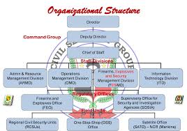 Organizational Structure