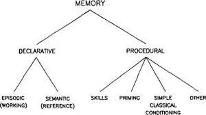 When Someone Loses Their Memory, How Do They Manage To Remember Their  Language? Is Language Stores In A Different Part Of The Brain? - Quora