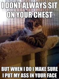 Pin On My Pets