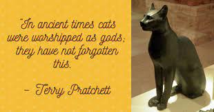 10 Famous Cats Quotes That Couldn T Be More True