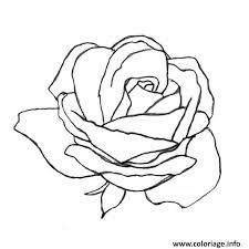 Coloriage oiseaux coloriage flamant rose. Coloriage Rose Et Coeur 145 Dessin Rose A Imprimer