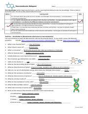 Macromolecules Ppt 1 Pptx Macromolecules U27a2 Carbohydrates U27a2 Lipids U27a2 Proteins U27a2 Nucleic Acids Building Blocks Of Life Science Is Real U00a9 By Course Hero