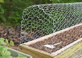 I know that it could be devastating. How To Keep Squirrels Out Of Deck Rail Planters