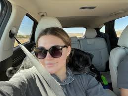 Cozy car seats for dogs