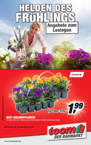 We did not find results for: Toom Baumarkt By Catalogofree Issuu