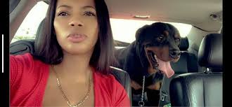 Lost Rottweiler off Houston Lake Road in Houston County, Georgia