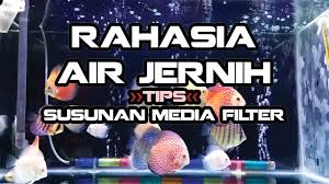 Filter pada aquarium berguna untuk membersihkan air dari kotoran, menghilangkan racun ammonia dan nitrat, agar air dapat bernafas. Susunan Tips Media Filter Agar Air Aquarium Tetap Jernih Youtube
