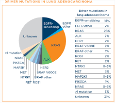 Types Of Lung Cancer Lungevity Foundation