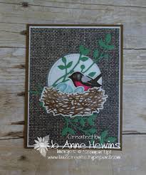 June Bird Of The Month Pin On Luv 2 Create Creations