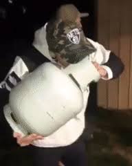 What can you do gif? What The Hell Is Wrong With People Gif On Imgur