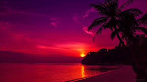 Sunset Wallpapers Hd Beach Sunset Wallpaper Sunset Wallpaper Sunset Pictures