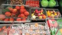 Custom 500g 1kg PET Disposable Blister Packaging Box Fruit Clear Plastic  Clamshell Container for Strawberry Berry