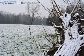 Vanwege overstromingen in het noorden van engeland worden duizenden mensen geëvacueerd. Sneeuw Op Boom In Hamme 2015 Sneeuw Boom Hammen