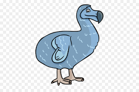 Cartoon dodo bird illustrations & vectors. Dodo Bird Png Download 488 584 Free Transparent Dodo Png Download Cleanpng Kisspng