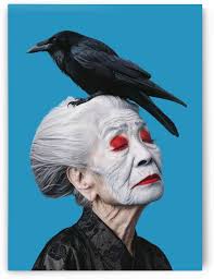 bird portrait Art Collection